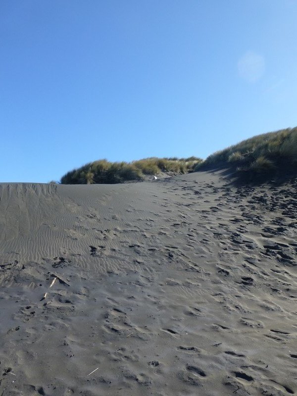 Sand dunes 