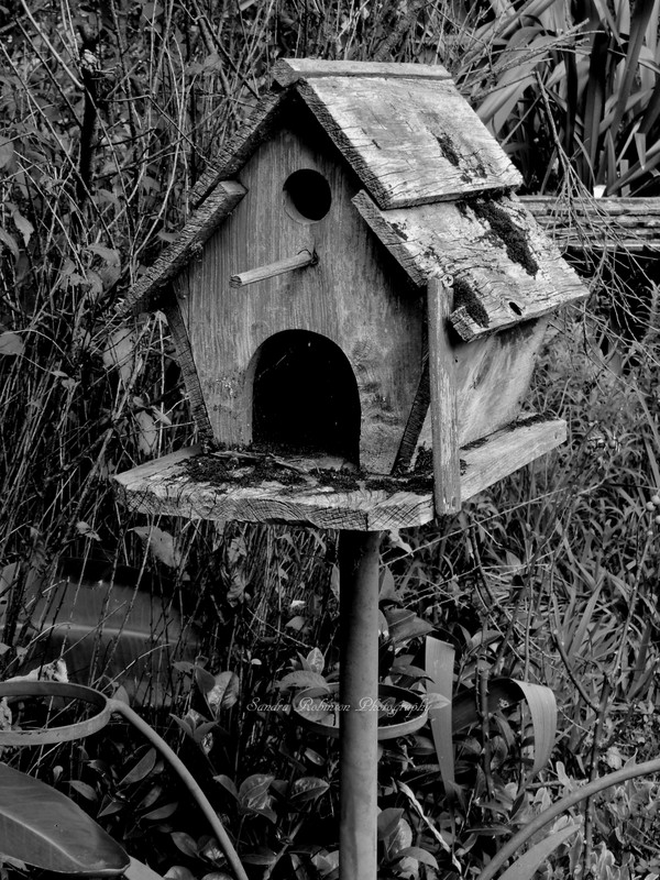 A home for the birds