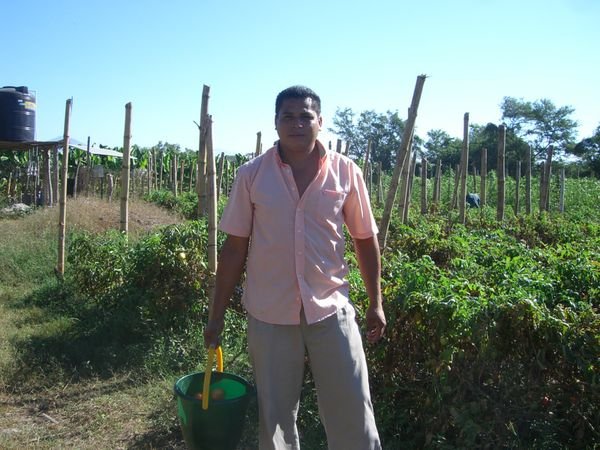 Amilcar, one of the técnicos, working in the organic farm