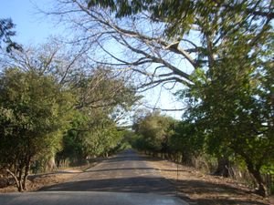 The road back to Ciudad Romero