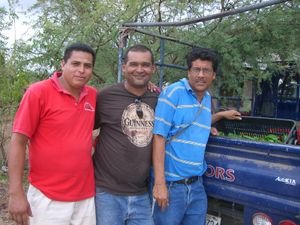 Amilcar, Luis and Alvaro