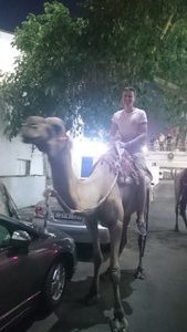 I'm on a camel. #oldspice
