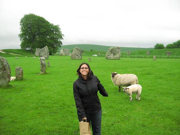 Sheep! and Stones!