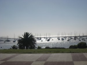 Leaving Montevideo