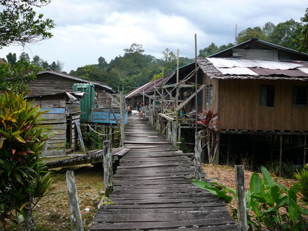 View of Longhouse