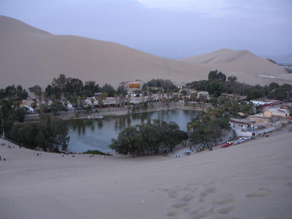 View of our Oasis