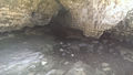Cave Stream Scenic Reserve (45)