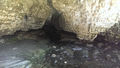 Cave Stream Scenic Reserve (49)