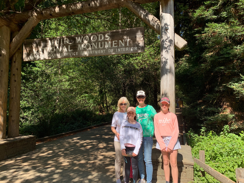 The magnificent Muir woods