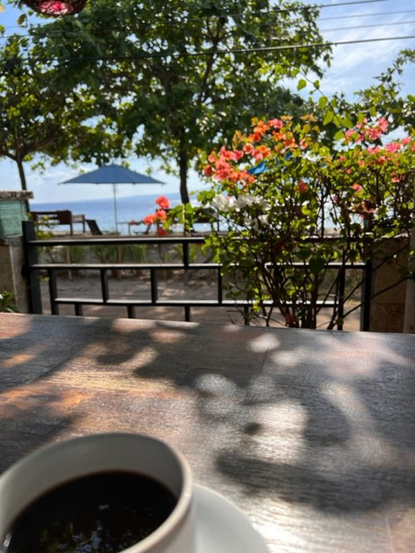 Morning Coffee at Turtle Hotel 