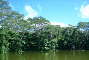 The lagoon by the raintree lodge