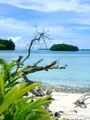Rock island in Palau