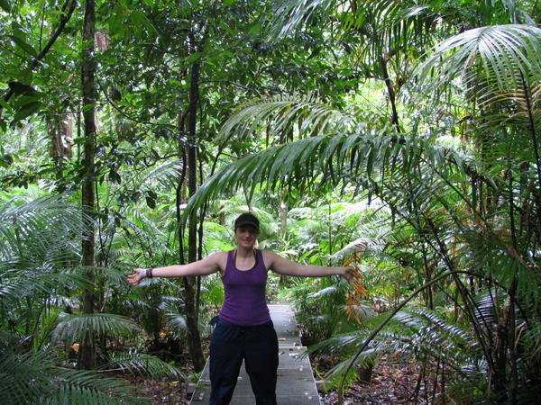 Walking the rainforest floor