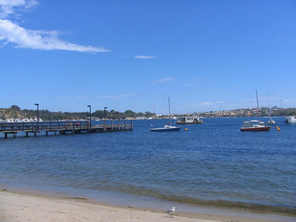 Dive Spot on the Swan River