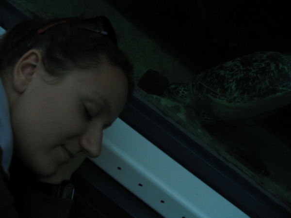 Dafne takes a nap with a turtle