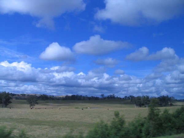 NSW Farmland