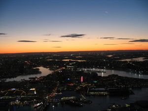 View from Sydney Tower 2