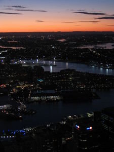 View from Sydney Tower 3