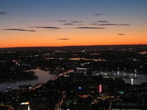 View from Sydney Tower 4