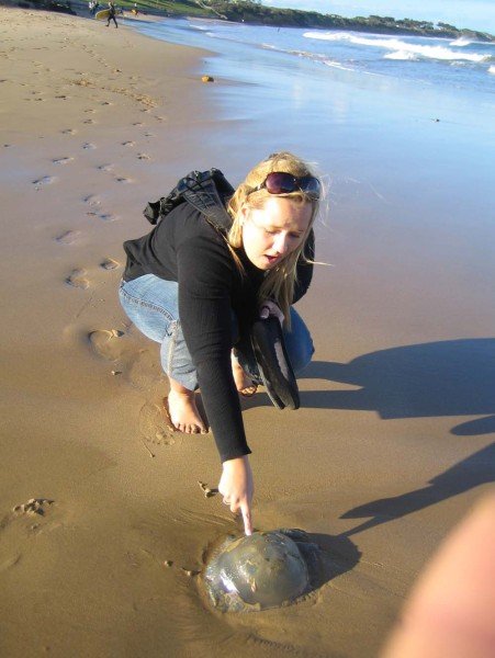 Dana finds a washed-up jellyfish!