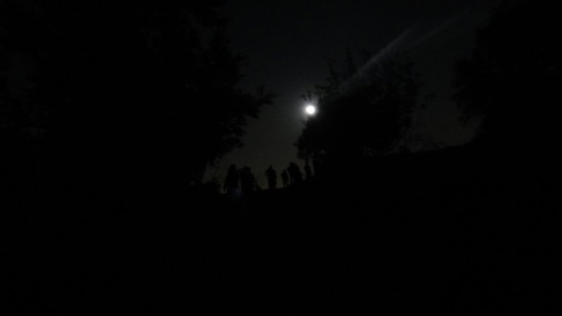 Night Hike!