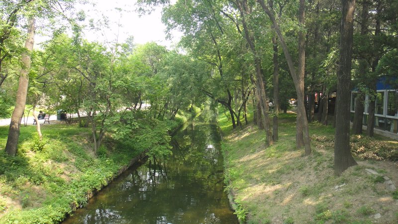 River in the Park
