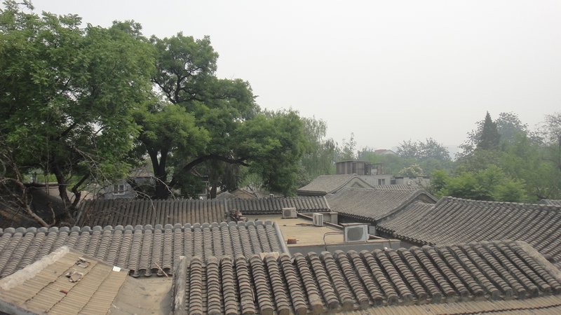 Roofs of the Courtyard Houses