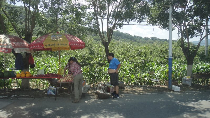 Stopping for some local fruit