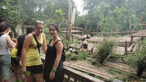 Yes, we're THIS CLOSE to PANDAS!!