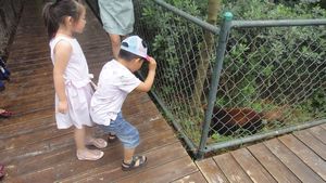 Children get too close to the panda