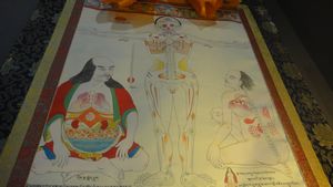 Tibetan anatomy
