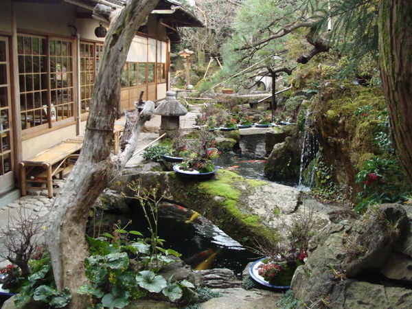 Beautiful Garden in Kyoto