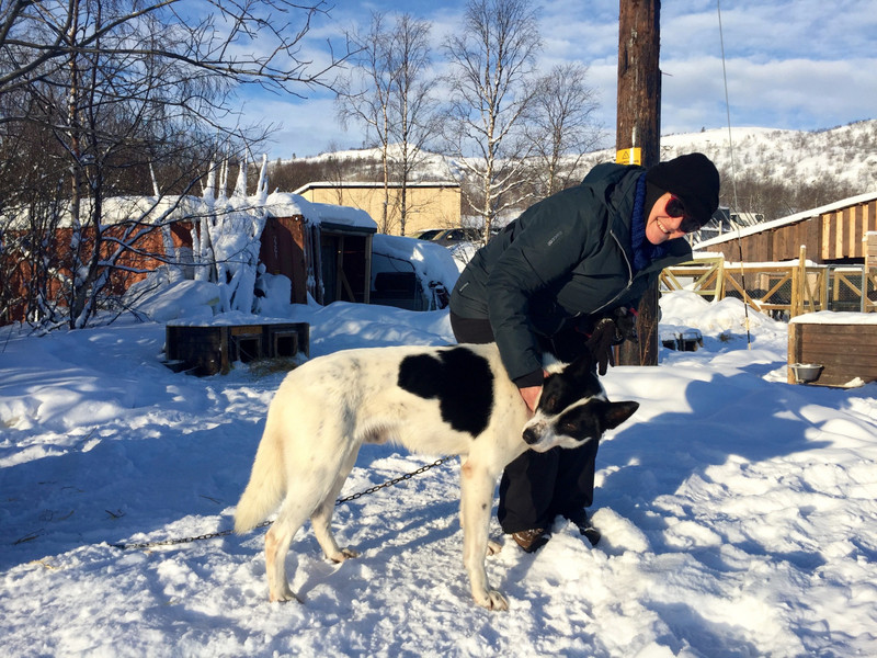 Making friends with the huskies