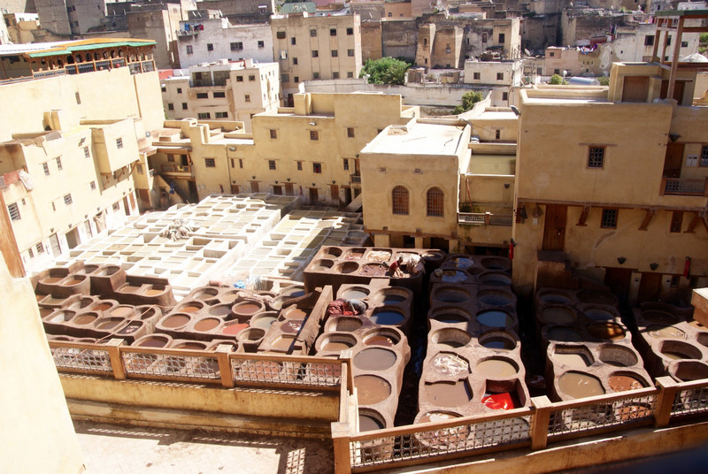The Tannery in Fes - yes of course I bought a handbag - made from Camel