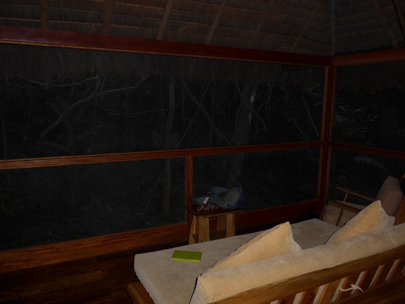 My cabin, mosquito netting looks straight out into the rainforest 
