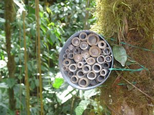 Artificial nest for insects