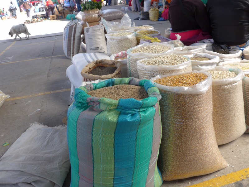 Saquisili market 