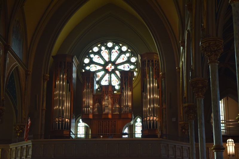Cathedral - organ