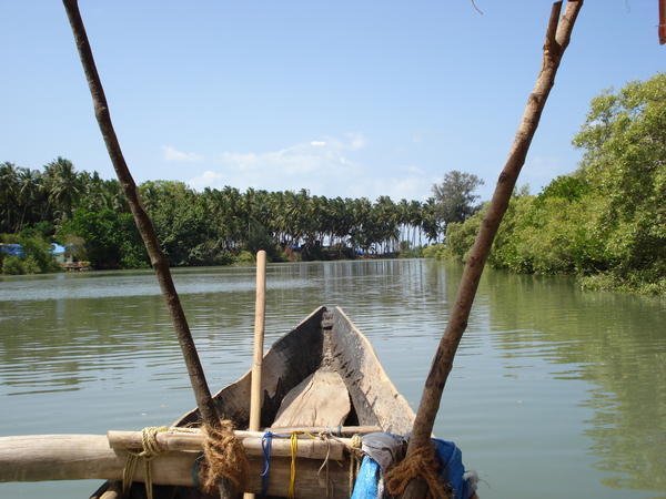 Cruise along the backwaters