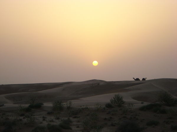 Sunset in the desert near Jaisalmer 