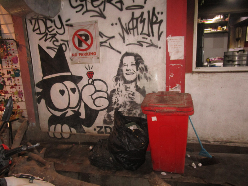 Janis and the rubbish