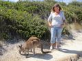 Me and kangaroo, Lucky Bay, Esperance
