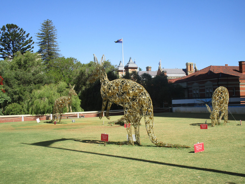 Perth Christmas roos