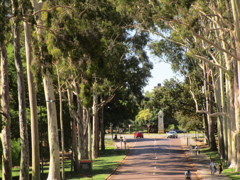 King's Park, Perth