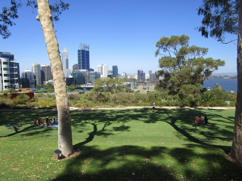 View of Perth City from King's Park