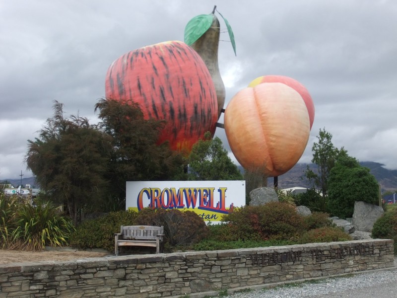 Cromwell fruits