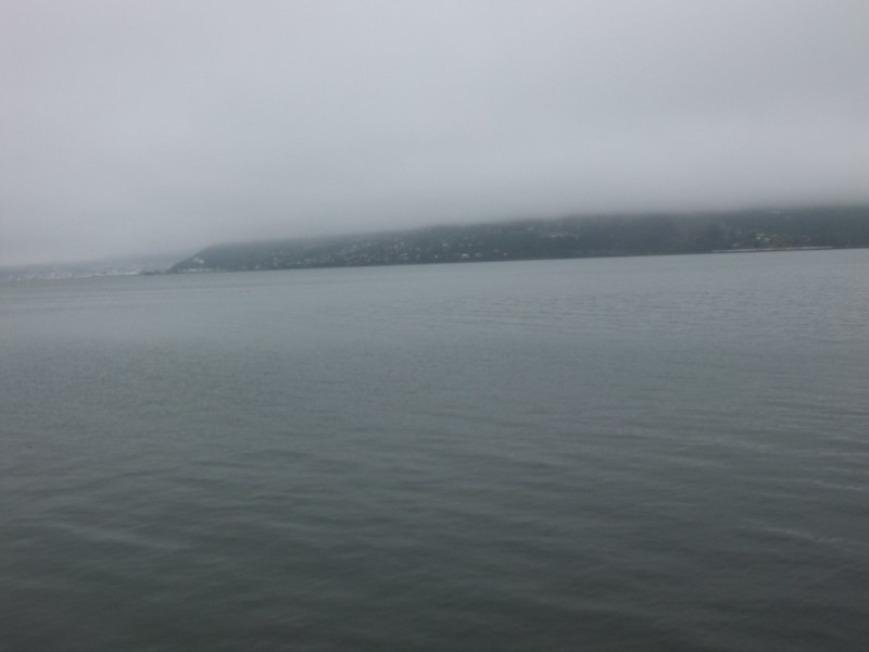 Dunedin peninsula in the fog