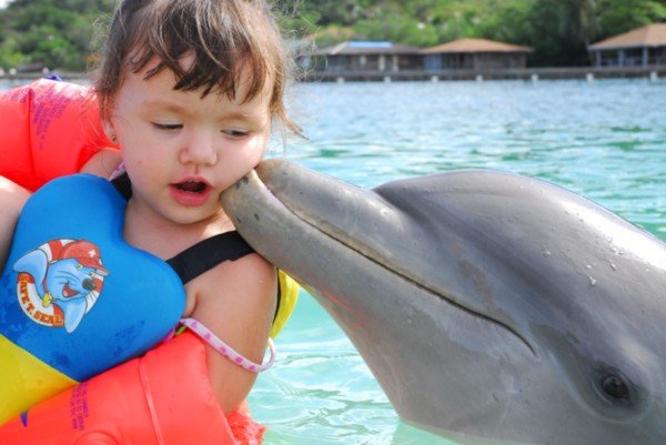 Kissed by a Dolphin