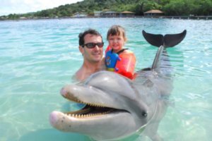 Smiling with the Dolphin