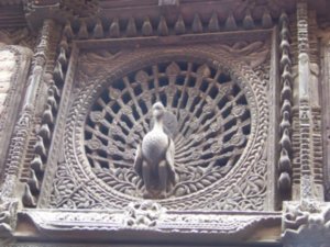 Famous Peacock Window